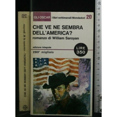 CHE VE NE SEMBRA DELL'AMERICA