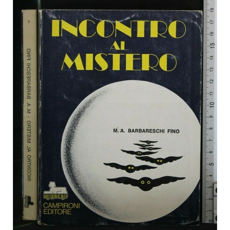 INCONTRO AL MISTERO