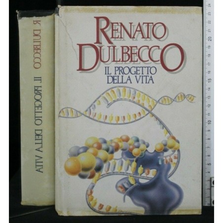 IL PROGETTO DELLA VITA