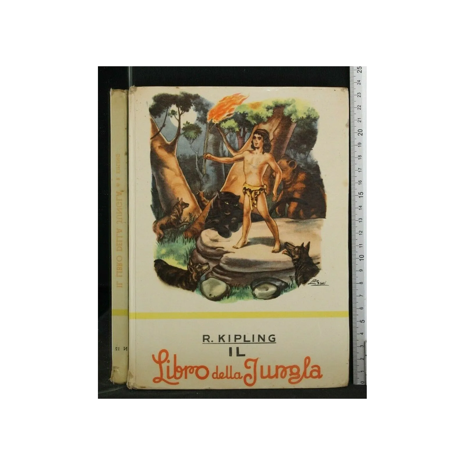 LIBRO DELLA JUNGLA