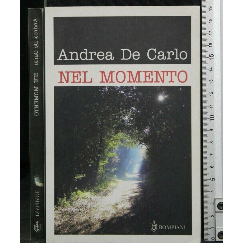 NEL MOMENTO