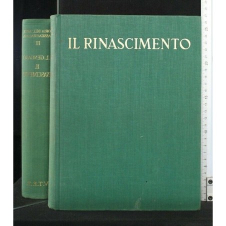 IL RINASCIMENTO