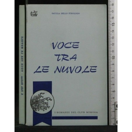 VOCE TRA LE NUVOLE