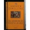 GLI ARANCINI DI MONTALBANO