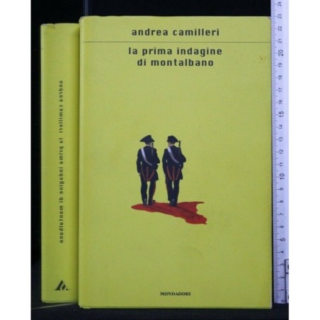 LA PRIMA INDAGINE DI MONTALBANO