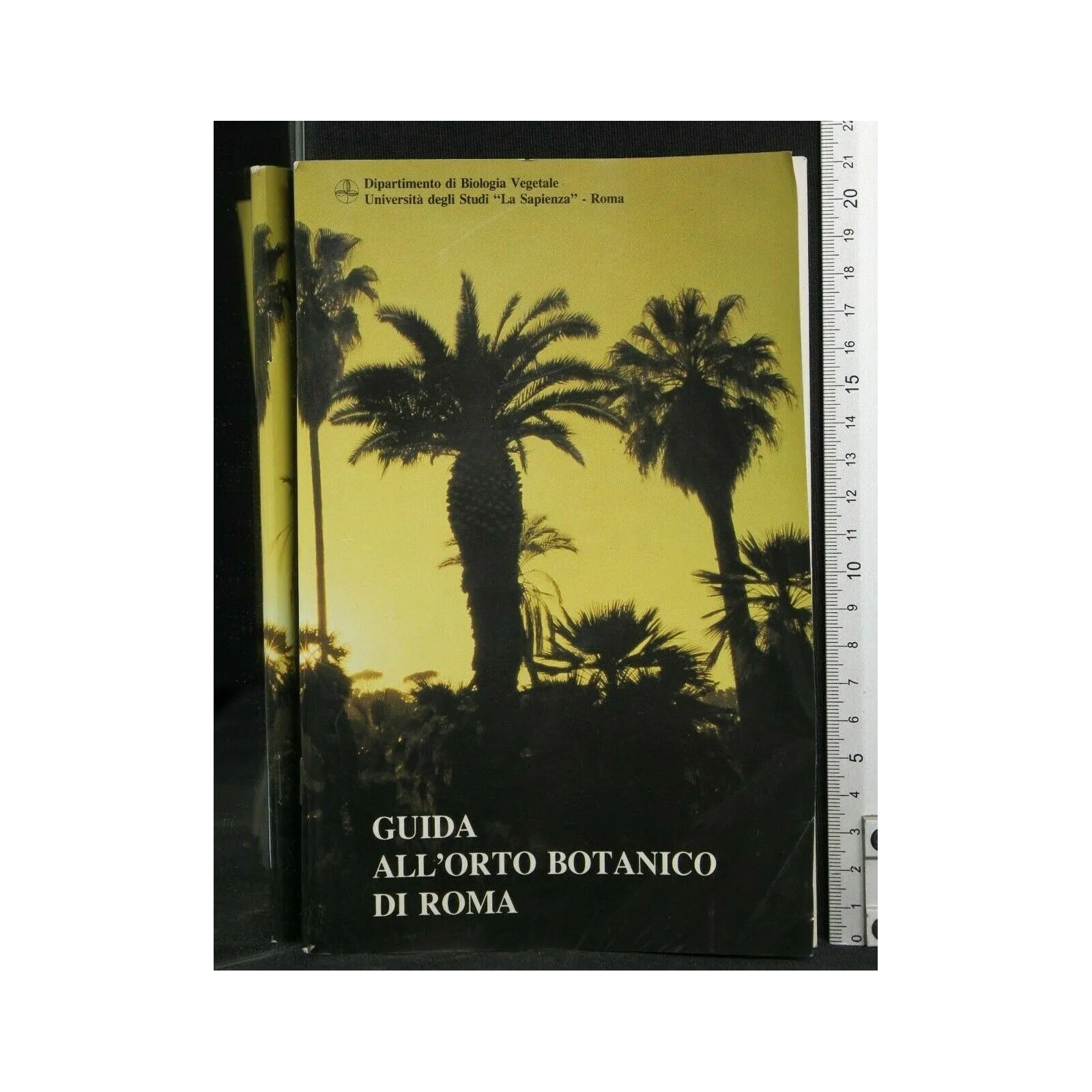 GUIDA ALL'ORTO BOTANICO _x000D_