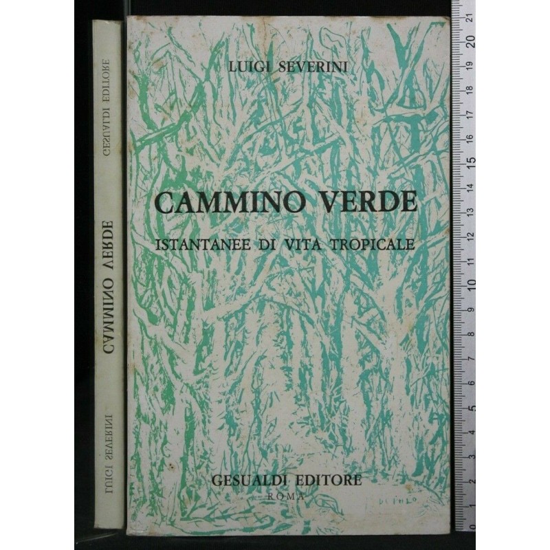 CAMMINO VERDE ISTANTANEE DI VITA TROPICALE