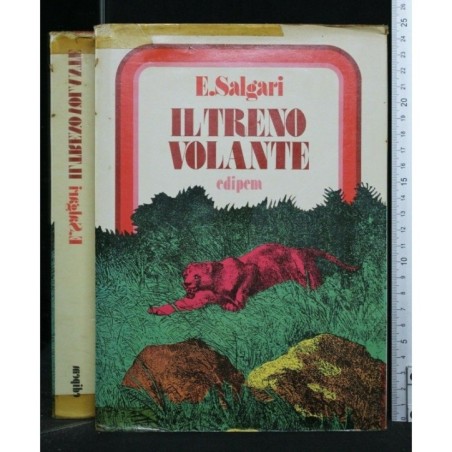 IL TRENO VOLANTE