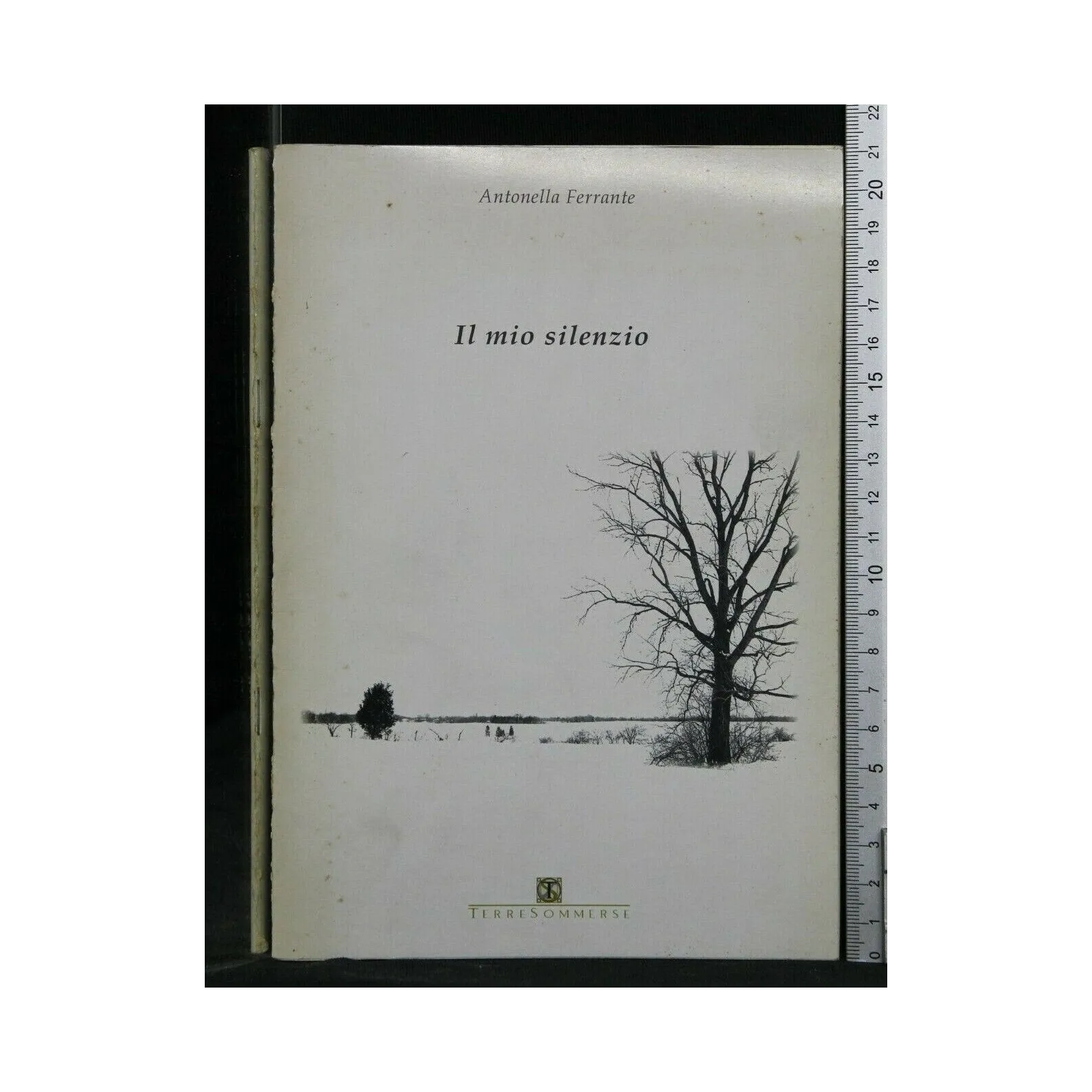 IL MIO SILENZIO