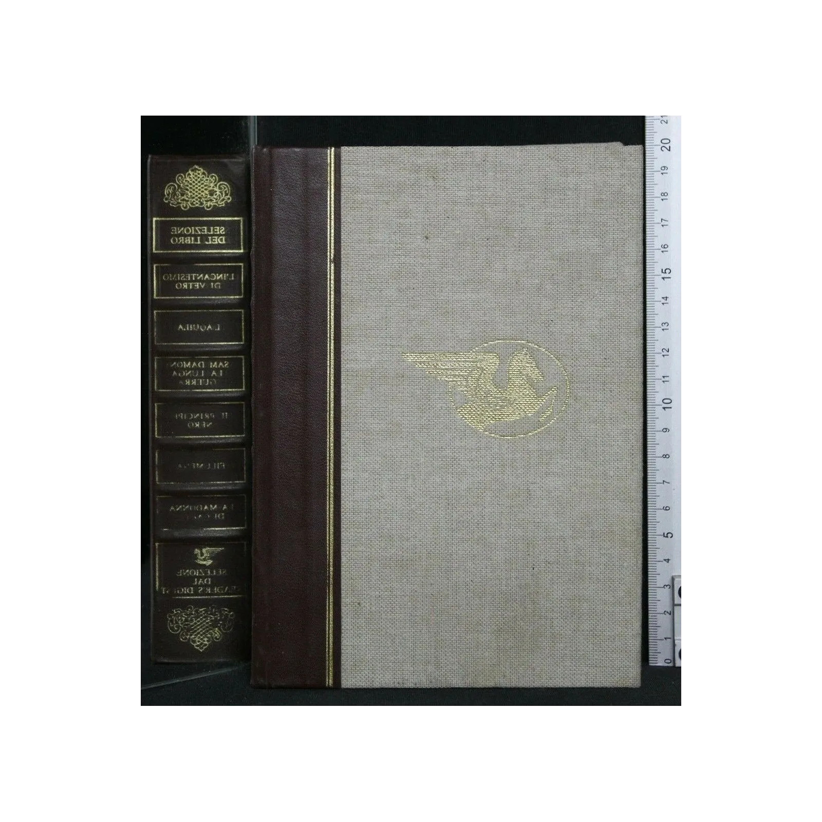 SELEZIONE DEL LIBRO L'INCANTESIMO DI VETRO L'AQUILA SAM DAMON LA