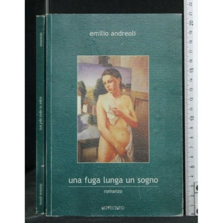 UNA FUGA LUNGA UN SOGNO