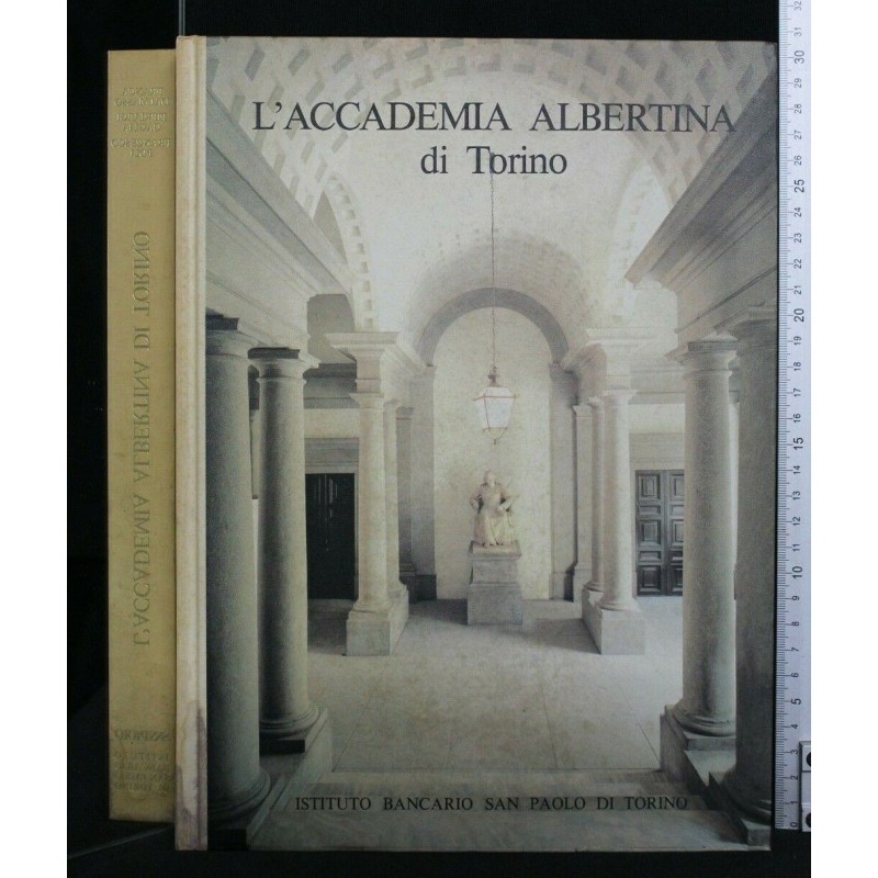 L'ACCADEMIA ALBERTINA DI TORINO