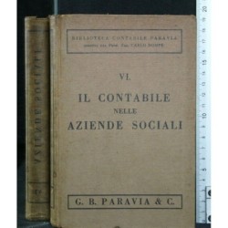 VI. IL CONTABILE NELLE AZIENDE SOCIALI