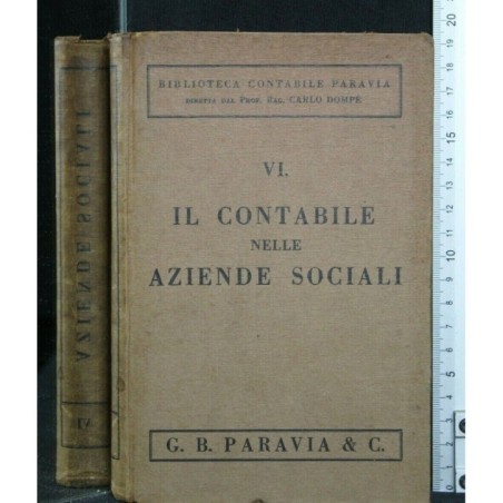 VI. IL CONTABILE NELLE AZIENDE SOCIALI