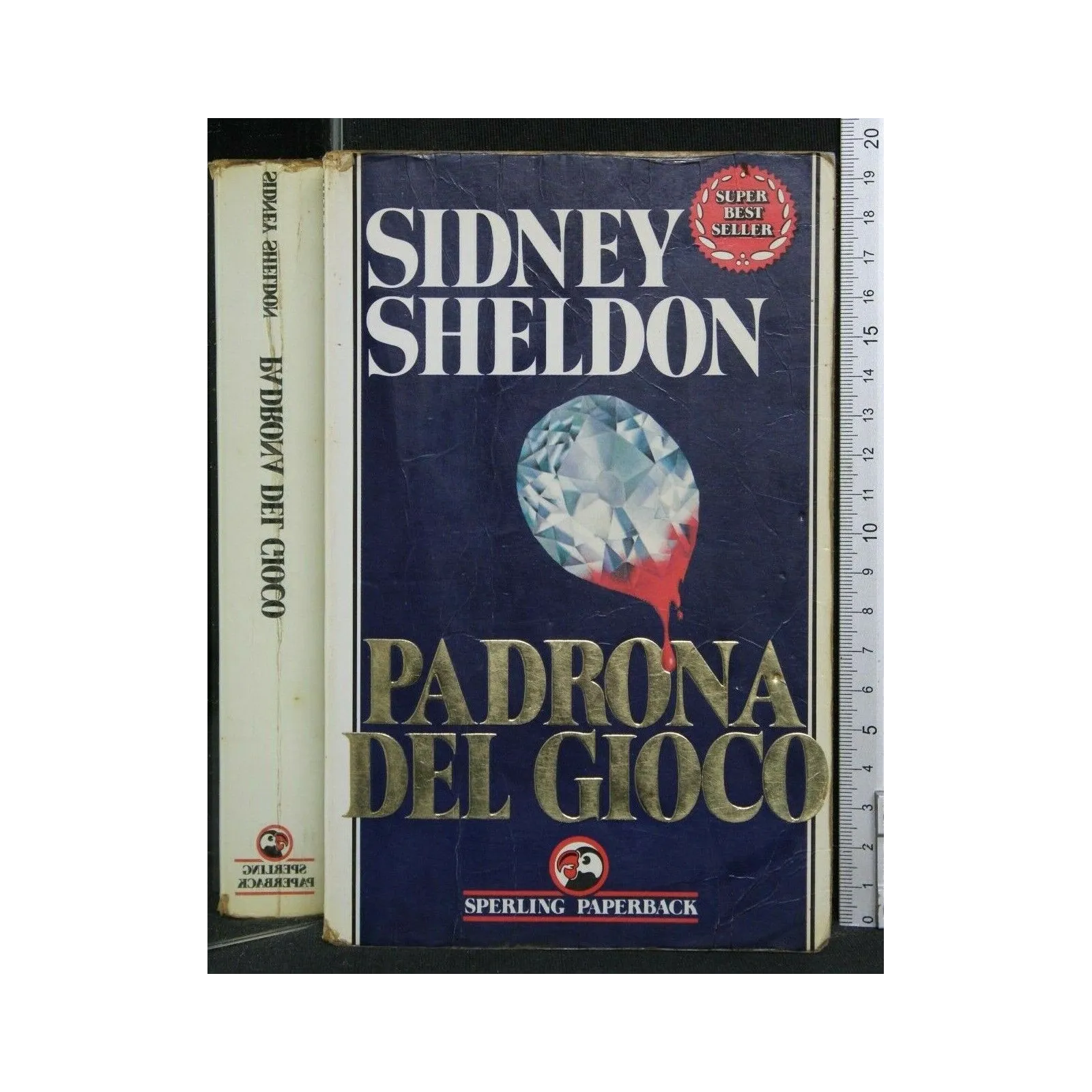 PADRONA DEL GIOCO