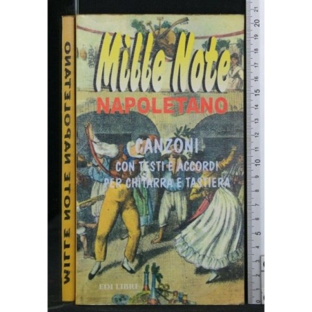 MILLE NOTE NAPOLI CANTA