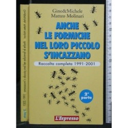 ANCHE LE FORMICHE NEL LORO PICCOLO S'INCAZZANO 2° PARTE