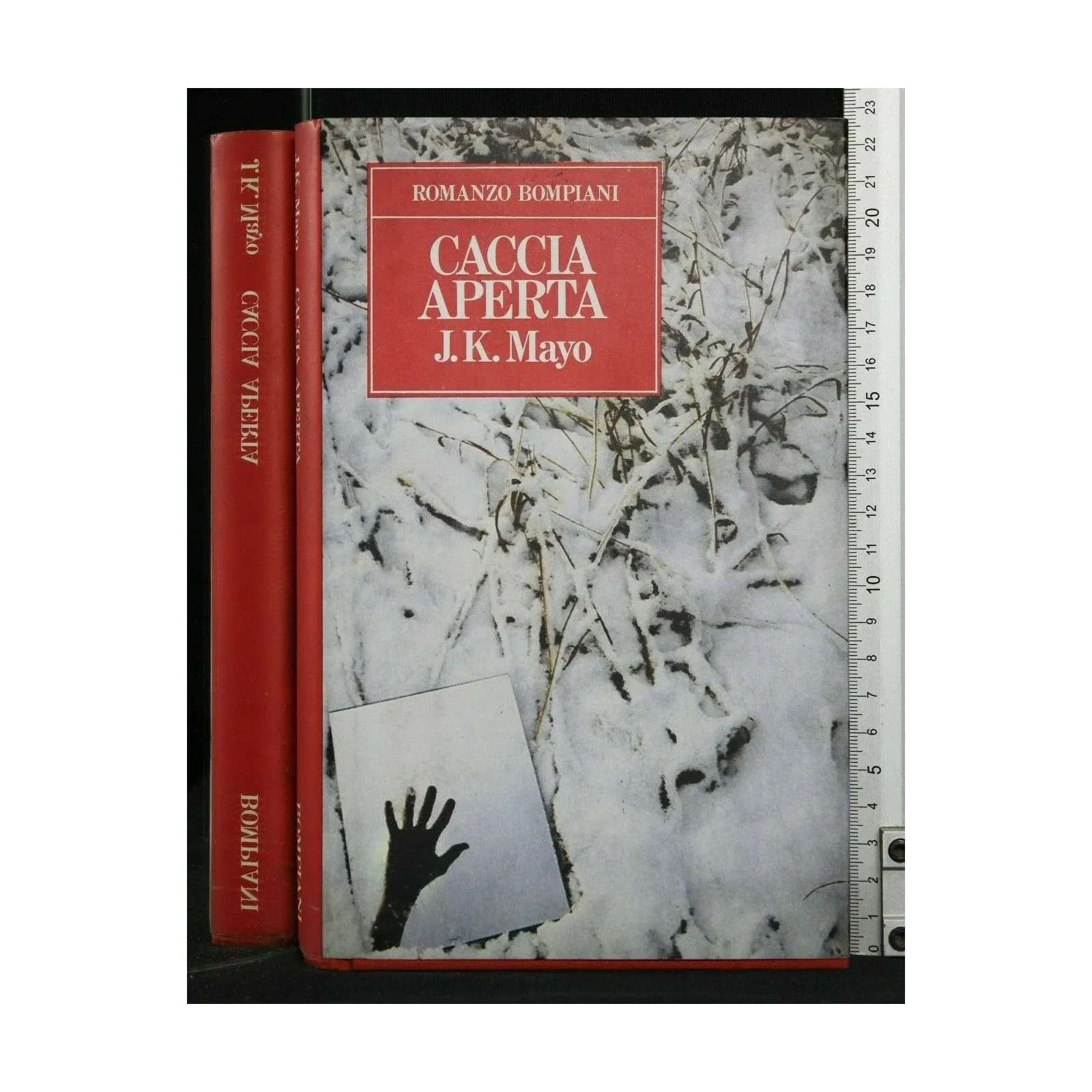 SENZA DIRE ARRIVEDERCI