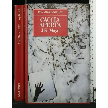 SENZA DIRE ARRIVEDERCI