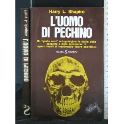 L'UOMO DI PECHINO