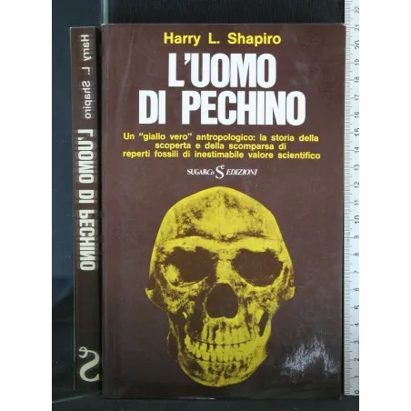 L'UOMO DI PECHINO