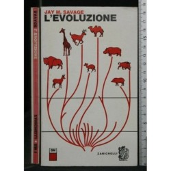 L'EVOLUZIONE
