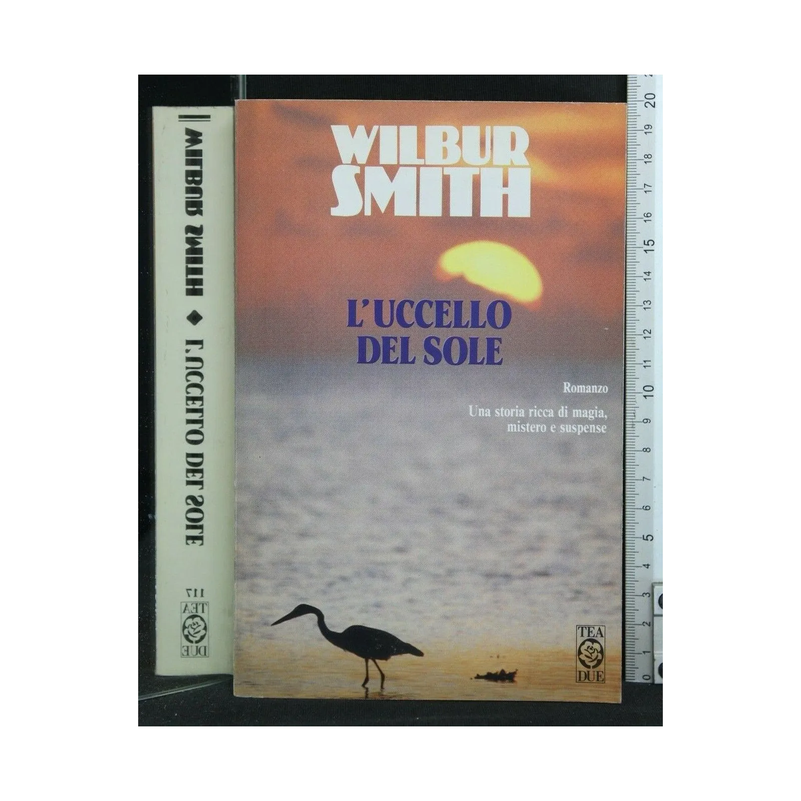 L'UCCELLO DEL SOLE