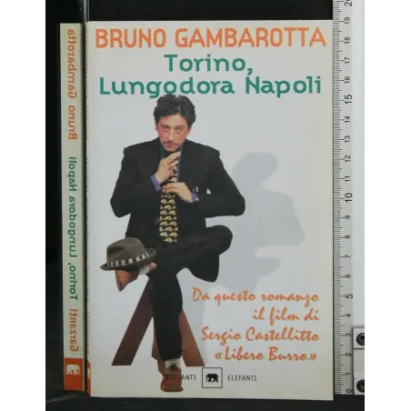 TORINO, LUNGODORA NAPOLI
