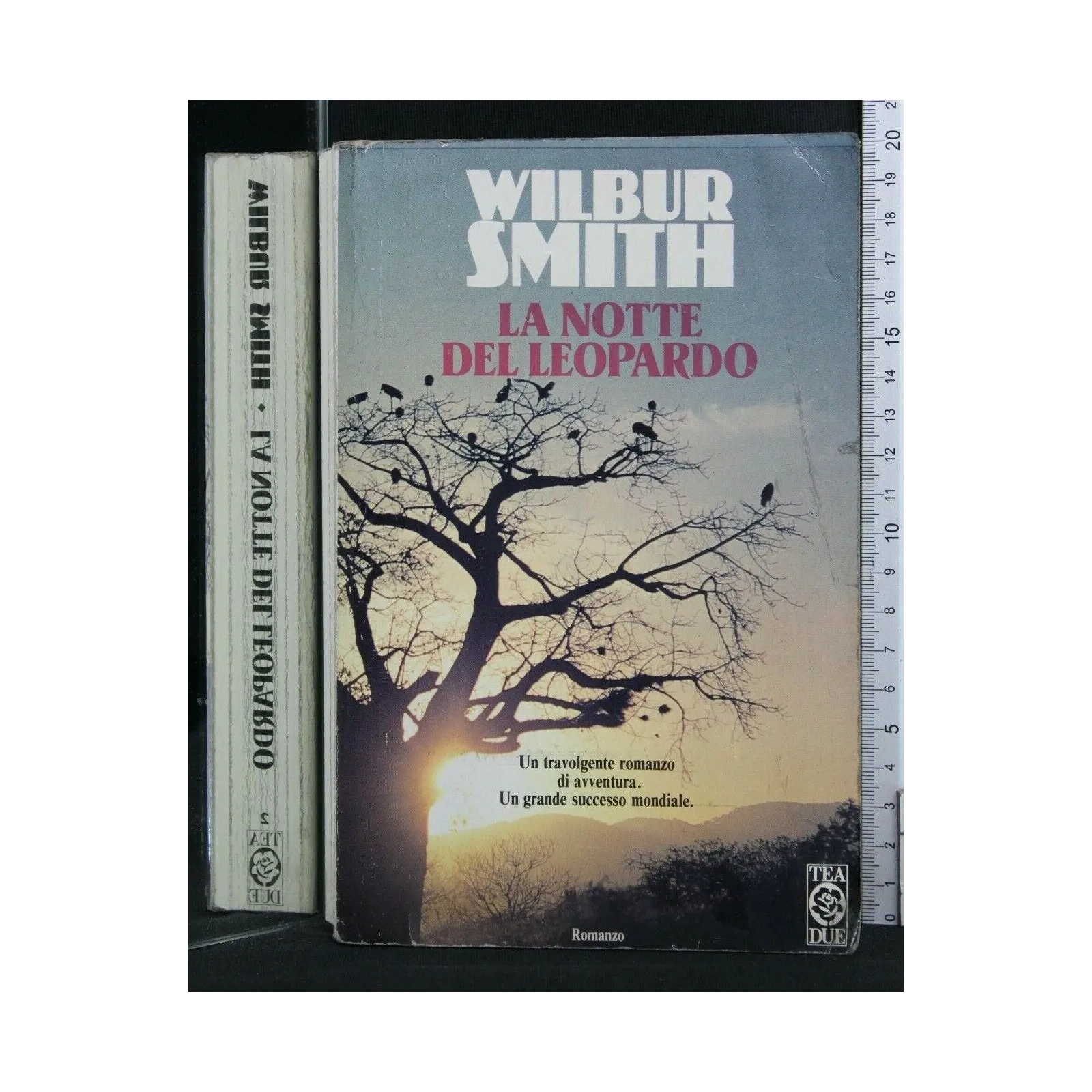 LA NOTTE DEL LEOPARDO
