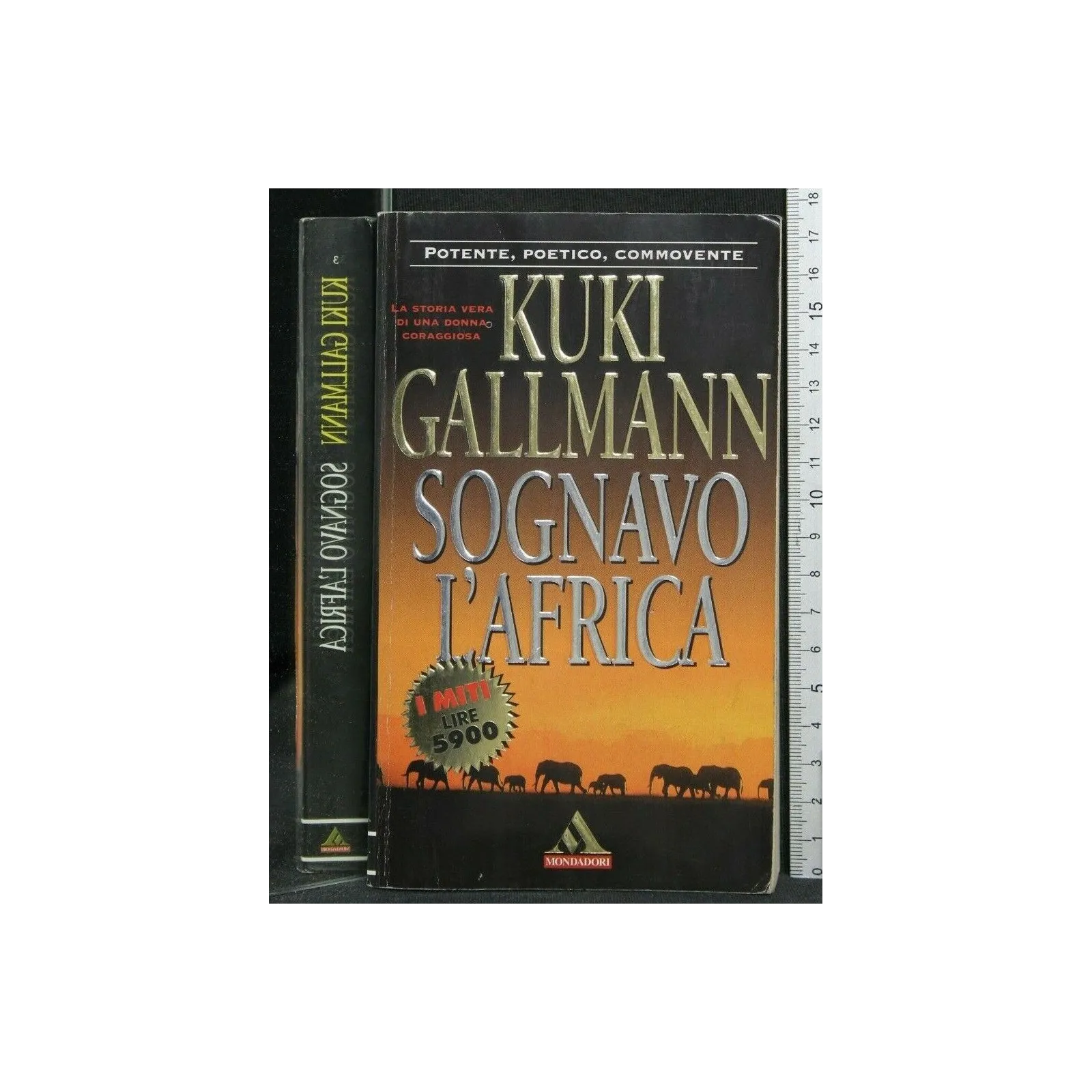 SOGNAVO L'AFRICA