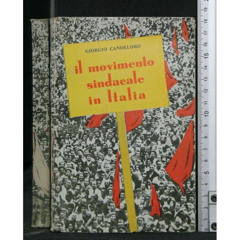 IL MOVIMENTO SINDACALE IN ITALIA