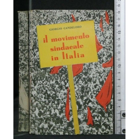 IL MOVIMENTO SINDACALE IN ITALIA