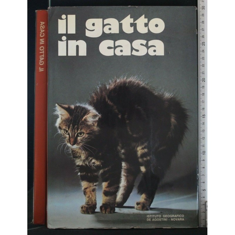 IL GATTO IN CASA