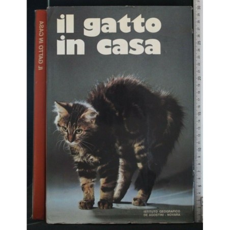 IL GATTO IN CASA