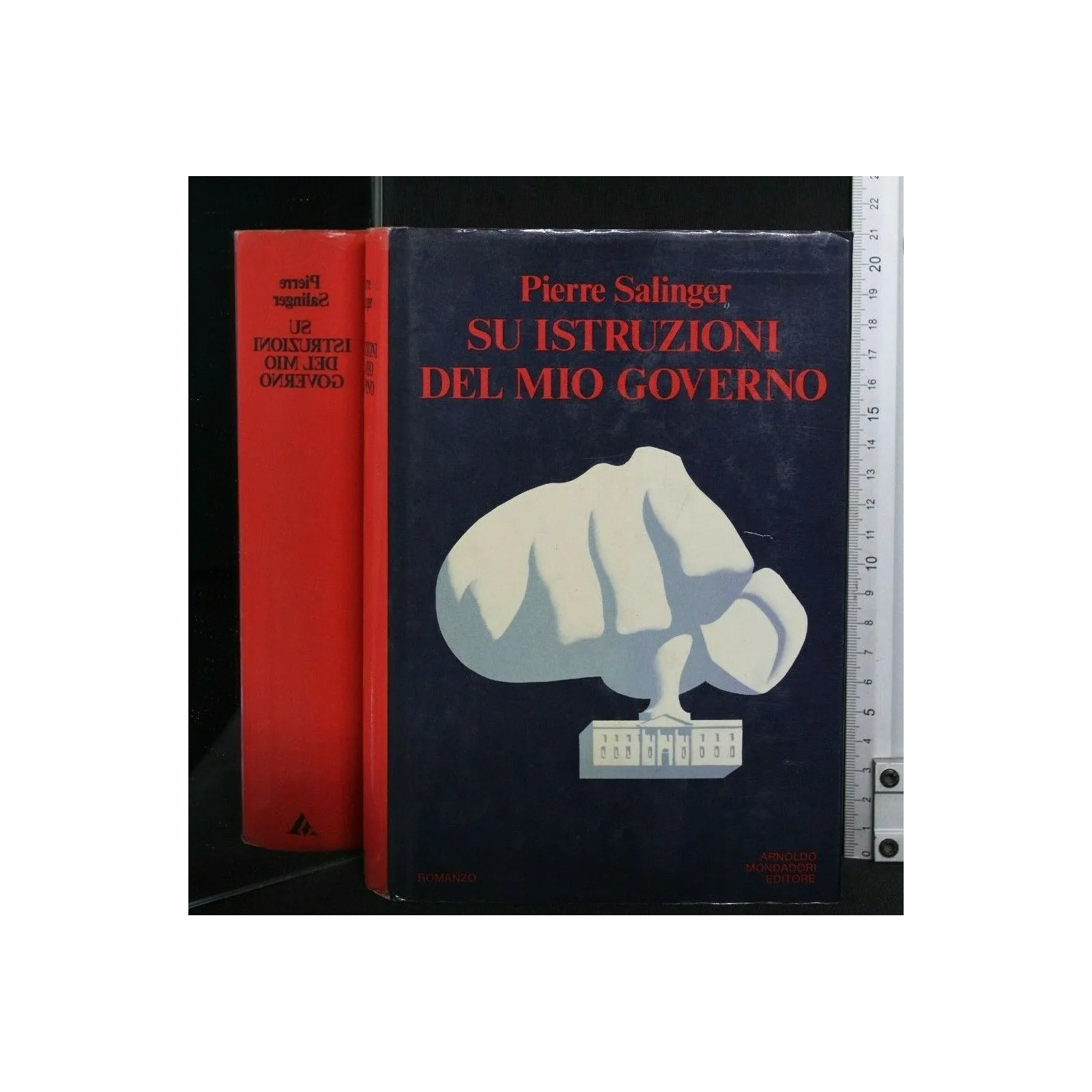 SU ISTRUZIONI DEL MIO GOVERNO
