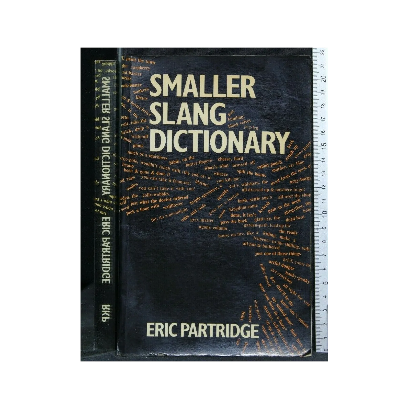 SMALLER SLANG DICIONARY