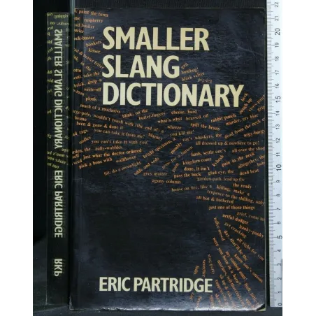 SMALLER SLANG DICIONARY