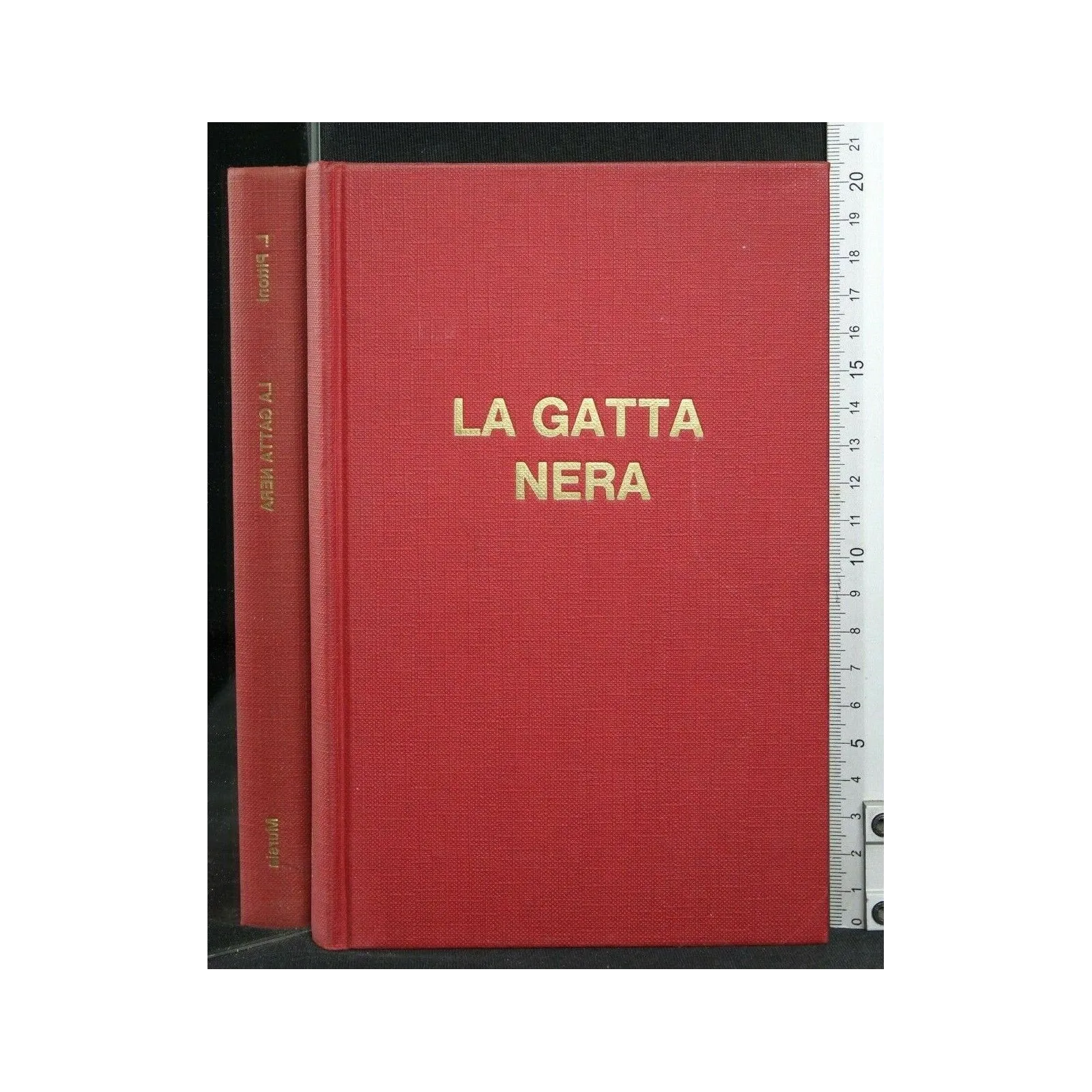 LA GATTA NERA