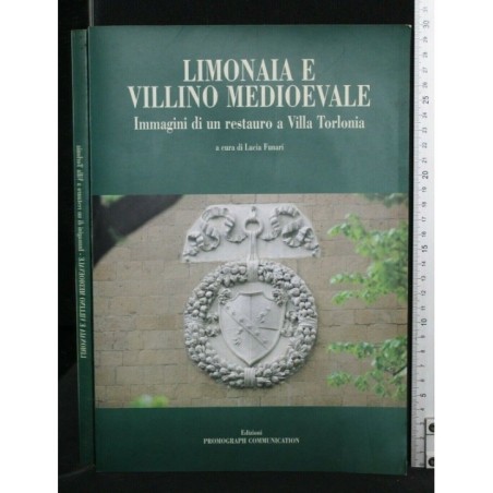 LIMONAIA E VILLINO MEDIOEVALE IMMAGINI DI UN RESTAURO A VILLA