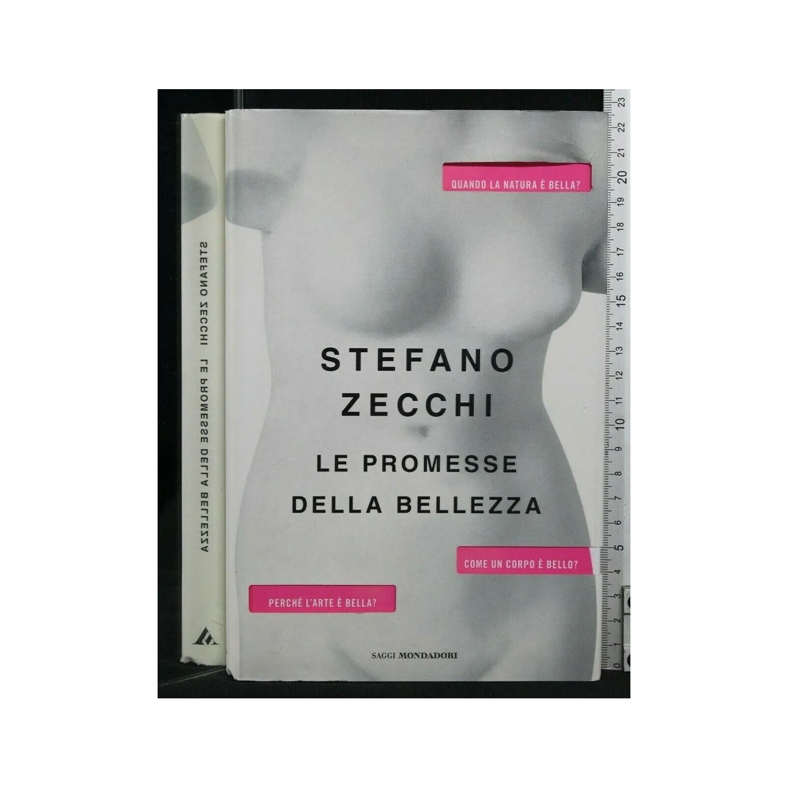 LE PROMESSE DELLA BELLEZZA