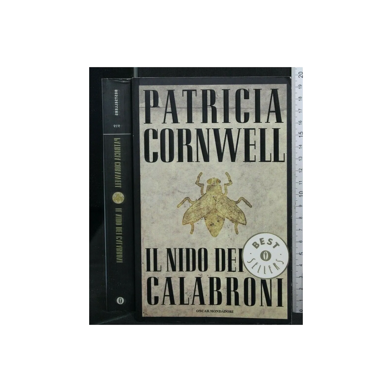 IL NIDO DEI CALABRONI