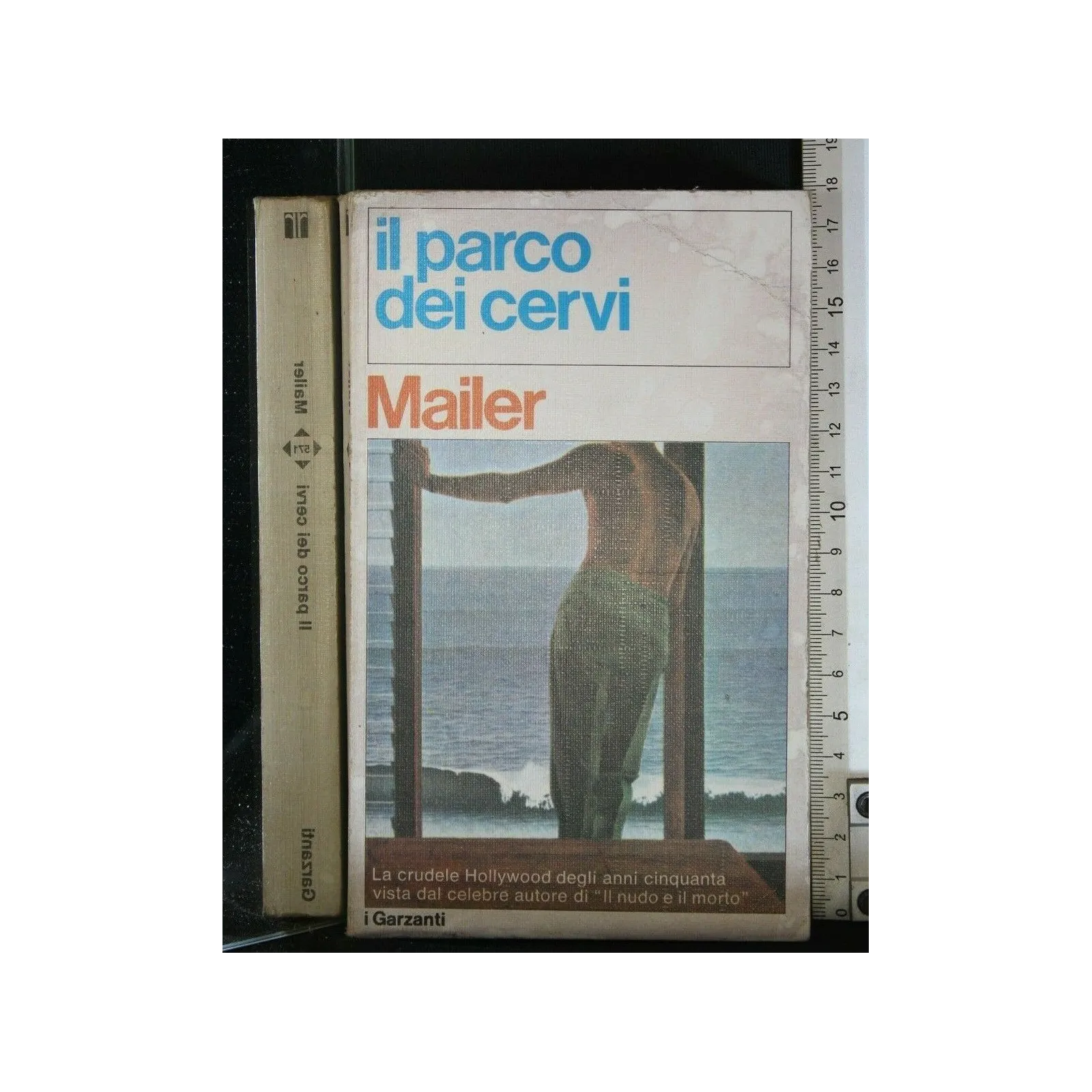 IL PARCO DEI CERVI
