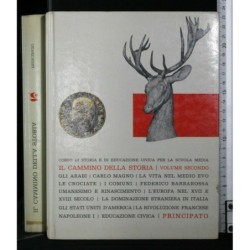 IL CAMMINO DELLA STORIA VOL. II