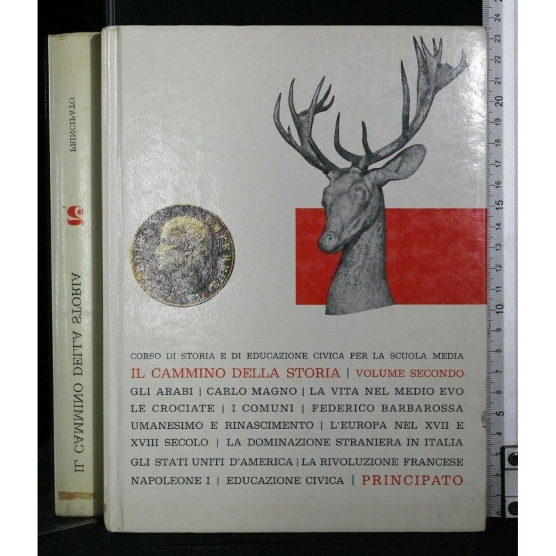IL CAMMINO DELLA STORIA VOL. II