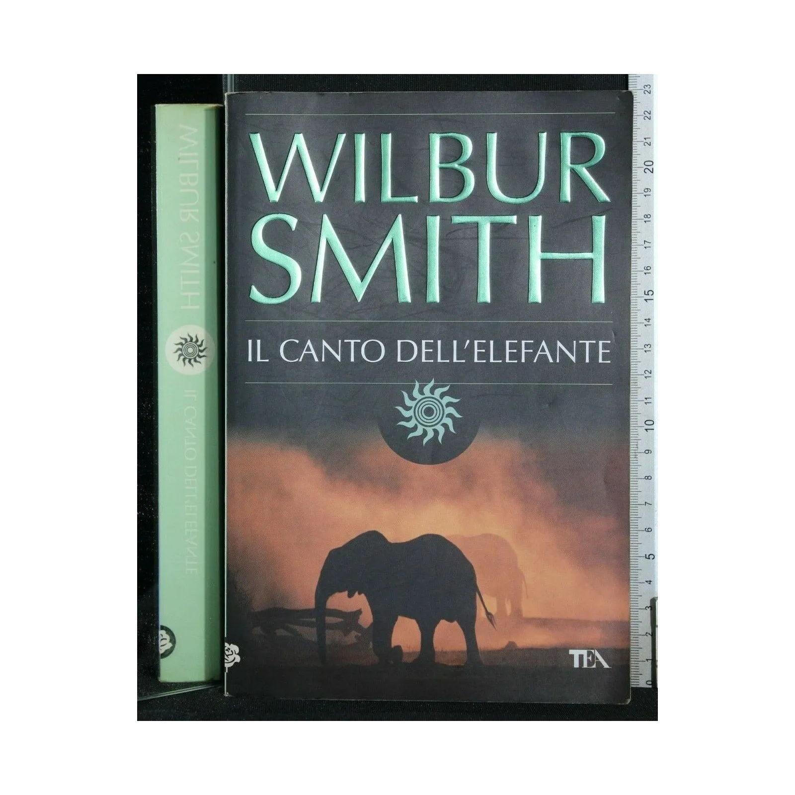 IL CANTO DELL'ELEFANTE