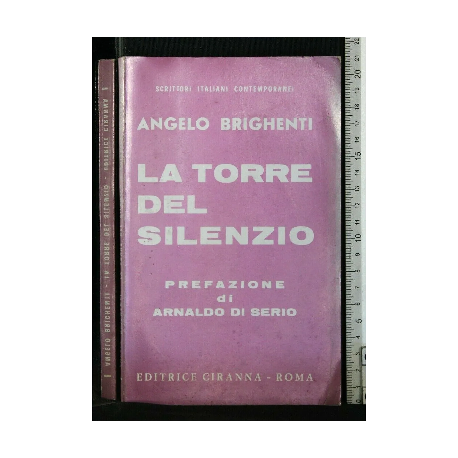 LA TORRE DEL SILENZIO