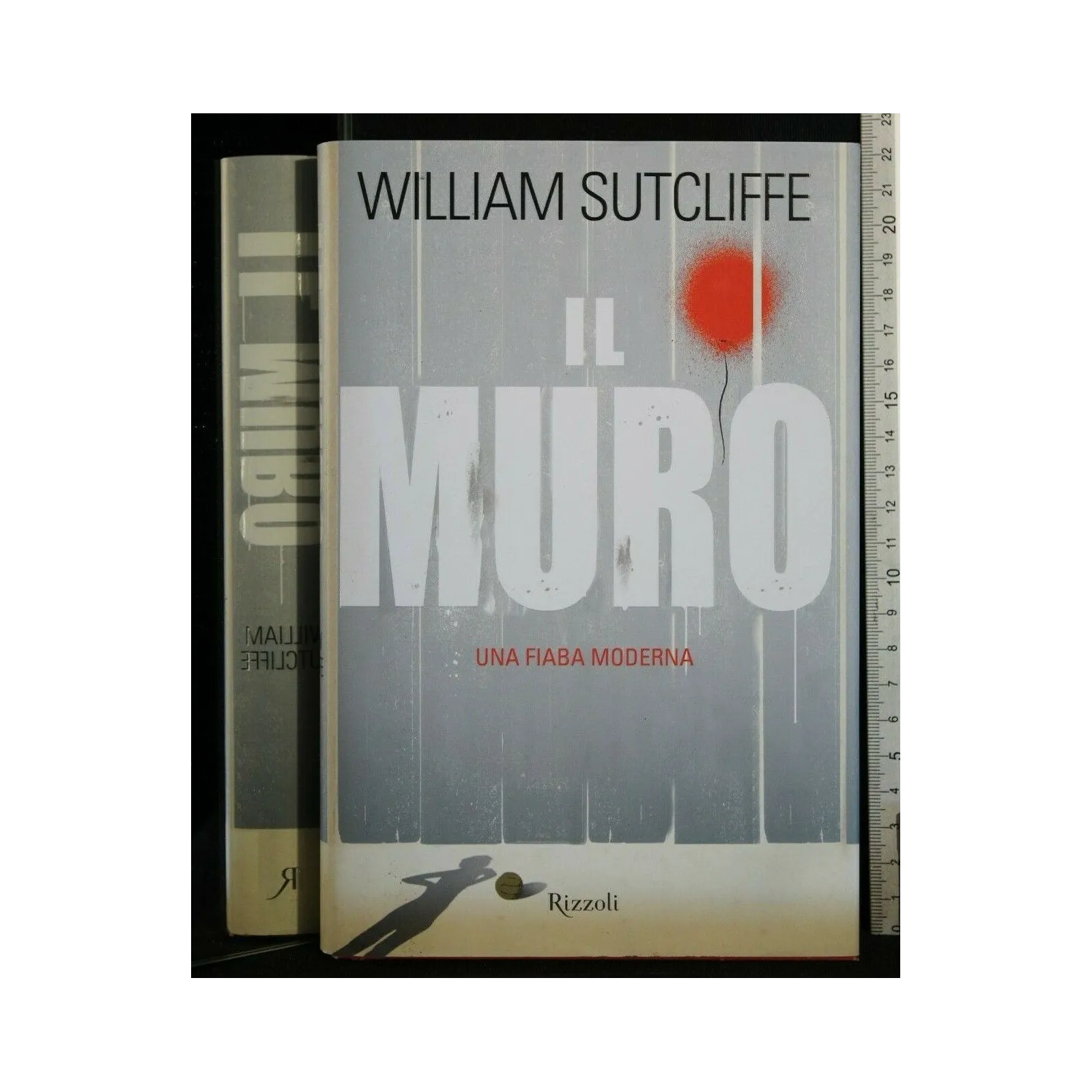 IL MURO