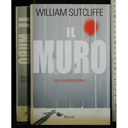 IL MURO