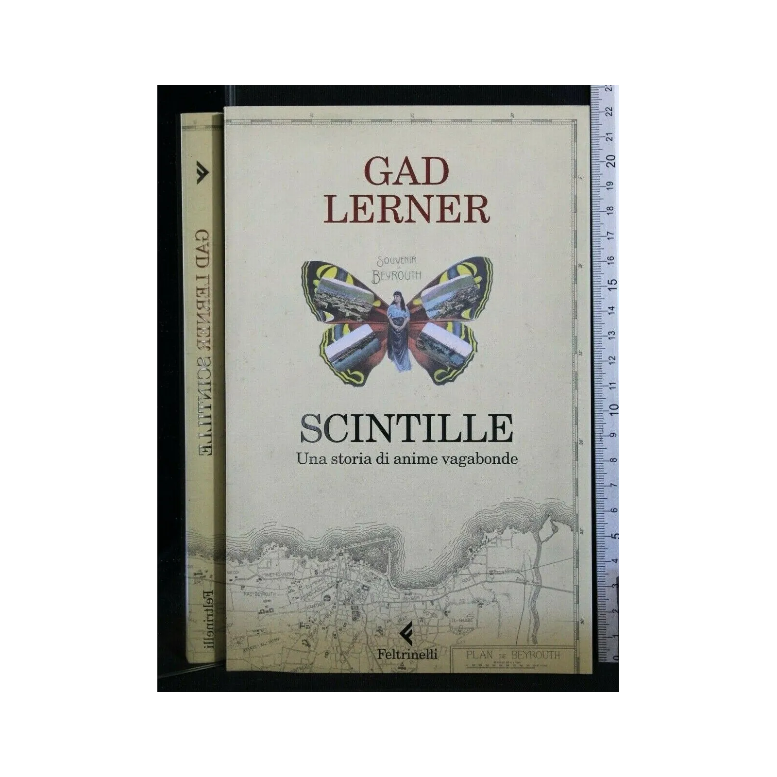 SCINTILLE