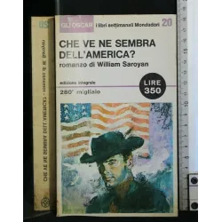 CHE VE NE SEMBRA DELL'AMERICA?